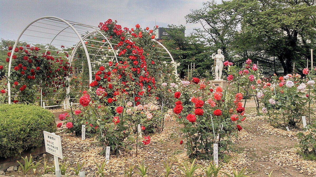 🌸 카이세이 산 공원(카이세이잔코엔) 이미지 7